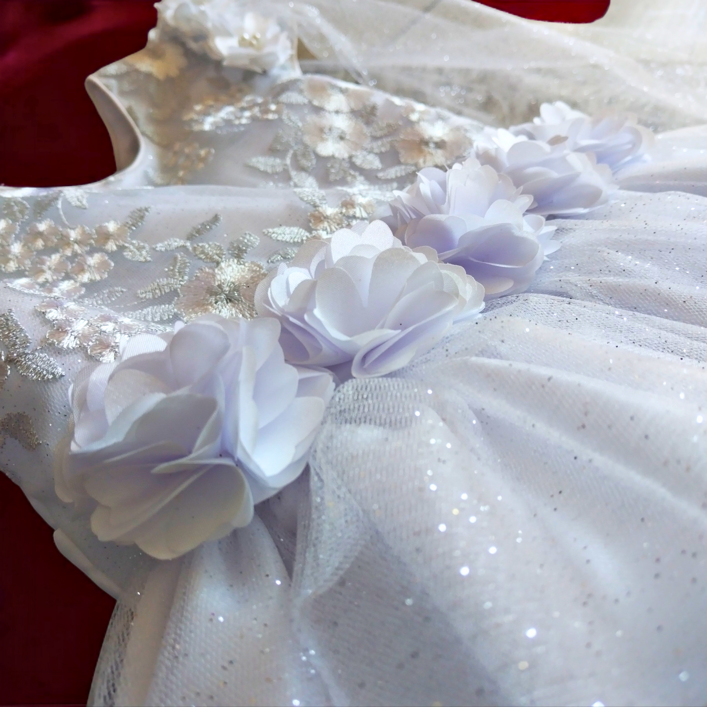 Vestido  Fiesta Niña